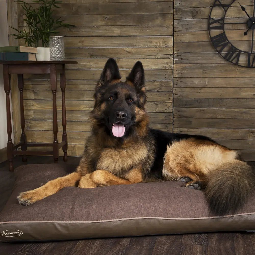 Hilton Memory Foam Orthopaedic Dog Bed / Dog Mattress (Burgundy, Brown, Grey) by Scruffs - Memoriex