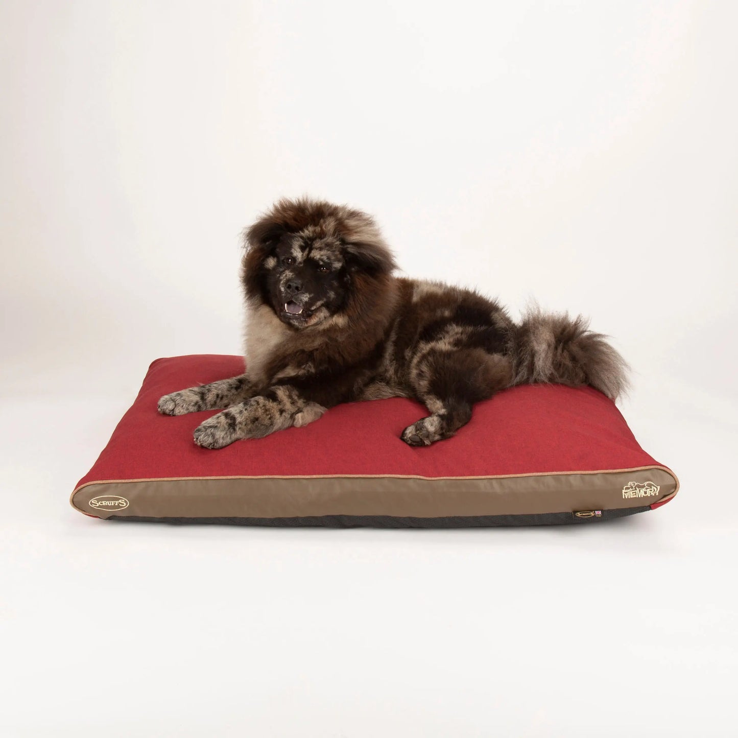 Hilton Memory Foam Orthopaedic Dog Bed / Dog Mattress (Burgundy, Brown, Grey) by Scruffs - Memoriex