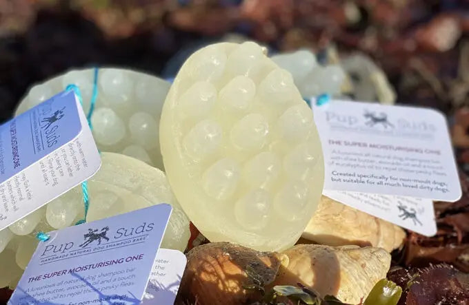 Dog Shampoo Bar - Massaging Anti-Stink, Anti-Fox Poo - by Pup Suds - Memoriex