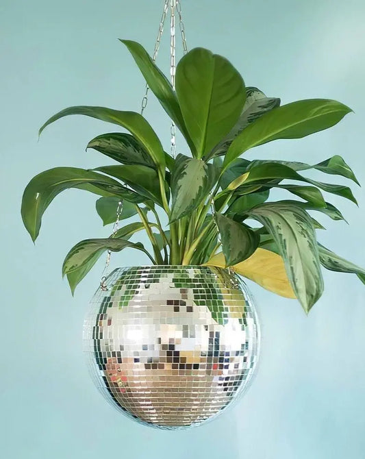 Eclectic Whimsical Disco Ball Hanging Herb Planters for Indoor, Outdoor & Front yard-0