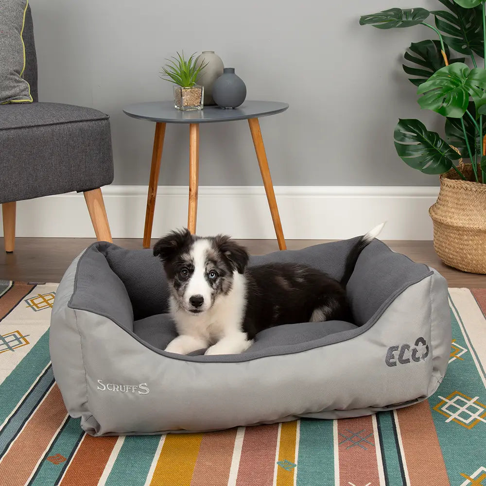 Eco Box Dog Bed (in Grey) by Scruffs - Memoriex