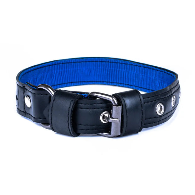 Eco Friendly Recycled Inner Tube Vegan Dog Collar - Memoriex 