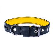 Eco Friendly Recycled Inner Tube Vegan Dog Collar - Memoriex 