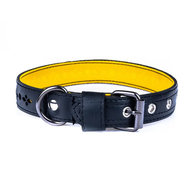 Eco Friendly Recycled Inner Tube Vegan Dog Collar - Memoriex 