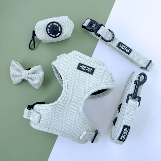 Dog Harness (Full Set) (Peppermint) – Dog Harness, Dog Collar, Dog Lead, Dog Poo Holder, Dog Bow Tie – by Furry Tails-0