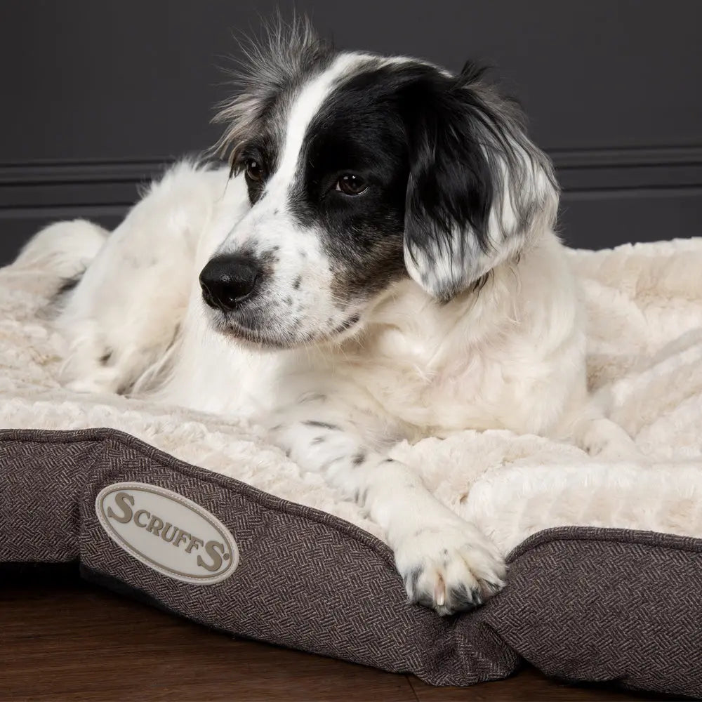 Ellen Dog Mattress (in Tan, Pink or Grey) by Scruffs - Memoriex