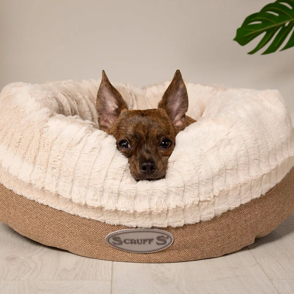 Ellen Donut Dog Bed (in Tan, Pink or Grey) by Scruffs - Memoriex