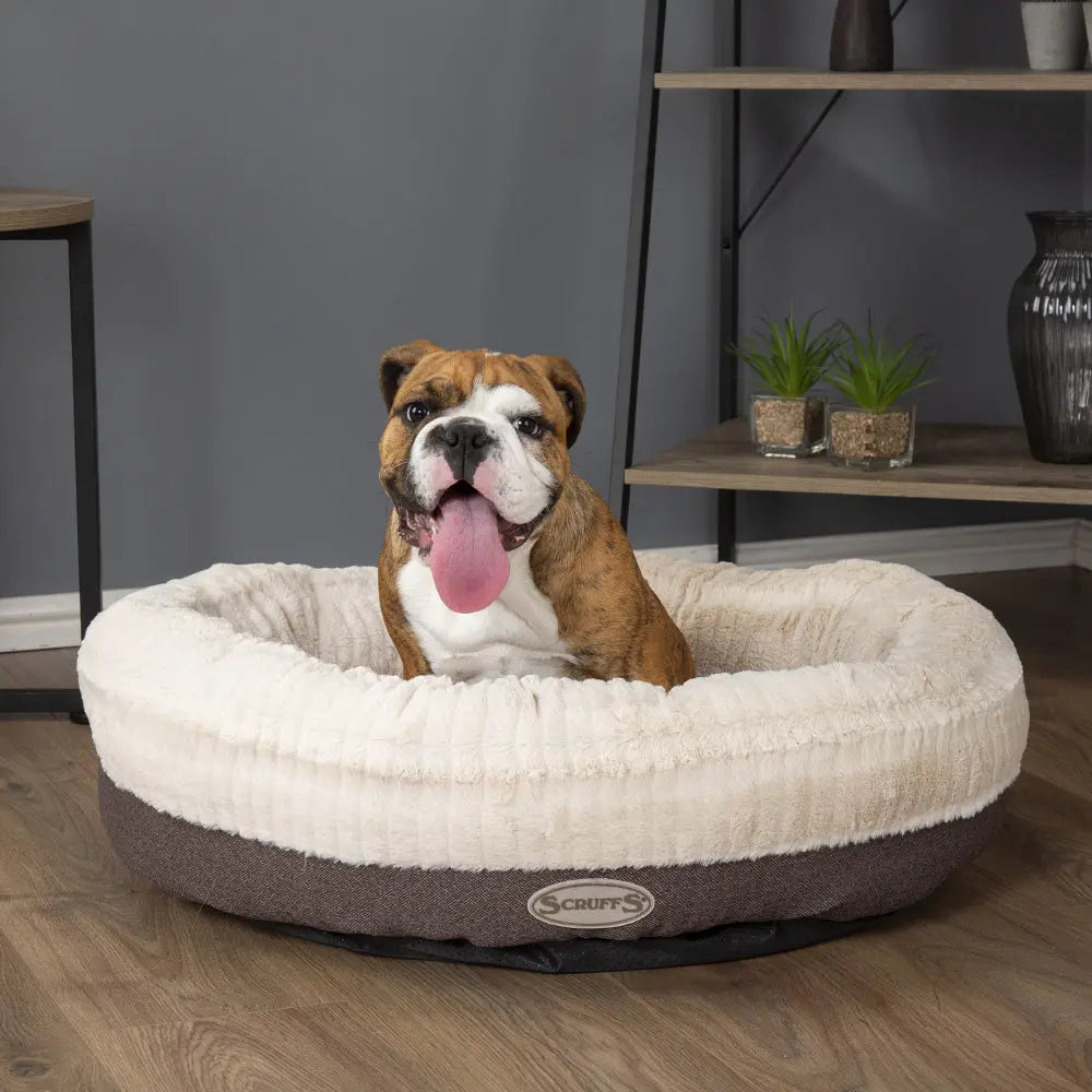 Ellen Donut Dog Bed (in Tan, Pink or Grey) by Scruffs - Memoriex