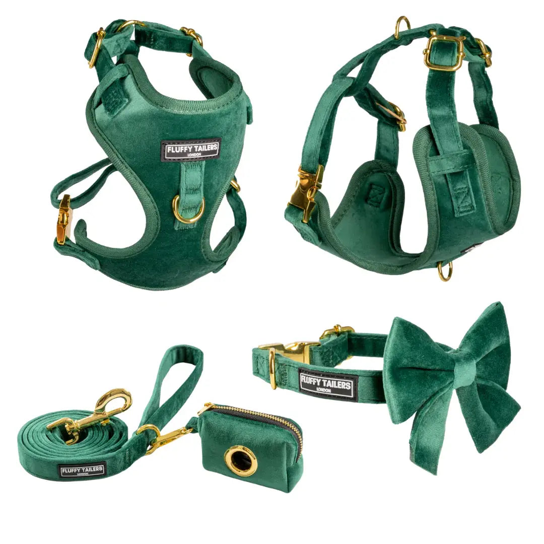 Emerald Green Collection - Dog Harness, Collar, Bow Tie, Lead and Poop Bag Holder by Fluffy Tailers - Memoriex