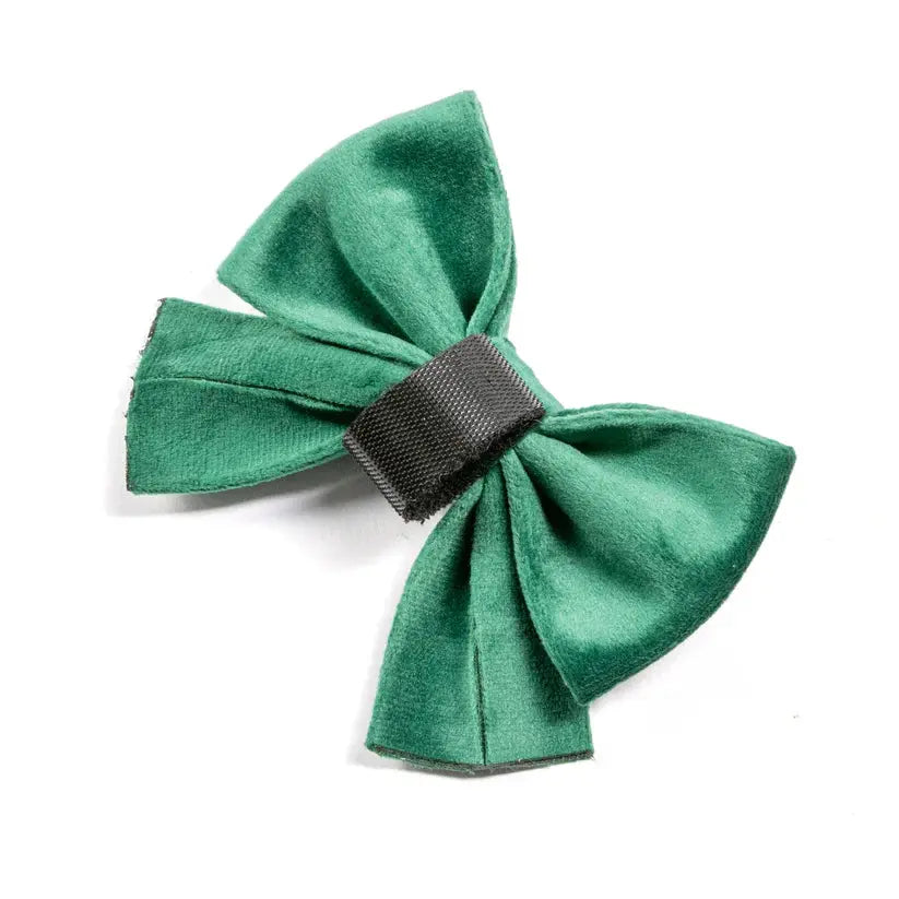 Emerald Green Collection - Dog Harness, Collar, Bow Tie, Lead and Poop Bag Holder by Fluffy Tailers - Memoriex