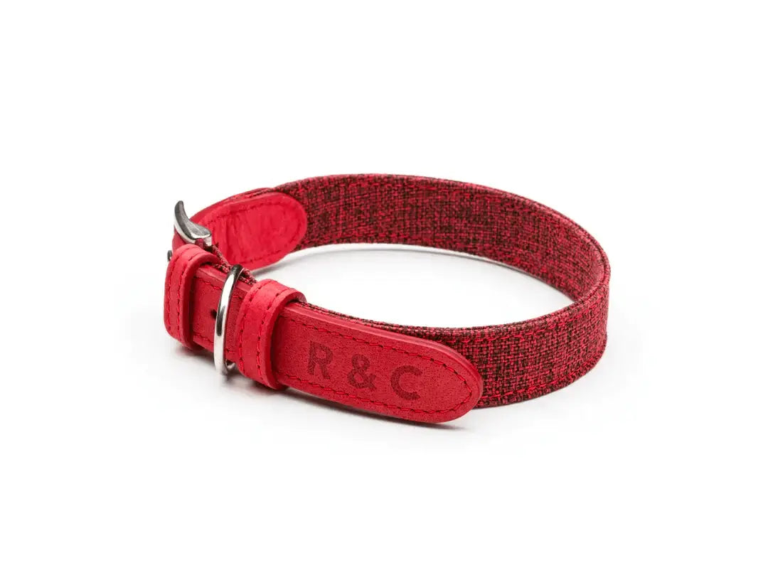 “Etna” Fabric & Leather Dog Collar – by Ralph & Co - Memoriex