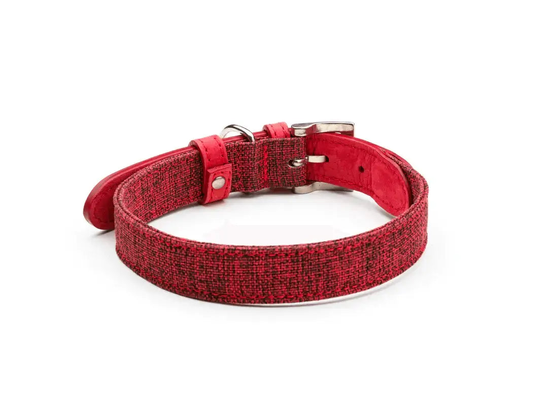 “Etna” Fabric & Leather Dog Collar – by Ralph & Co - Memoriex