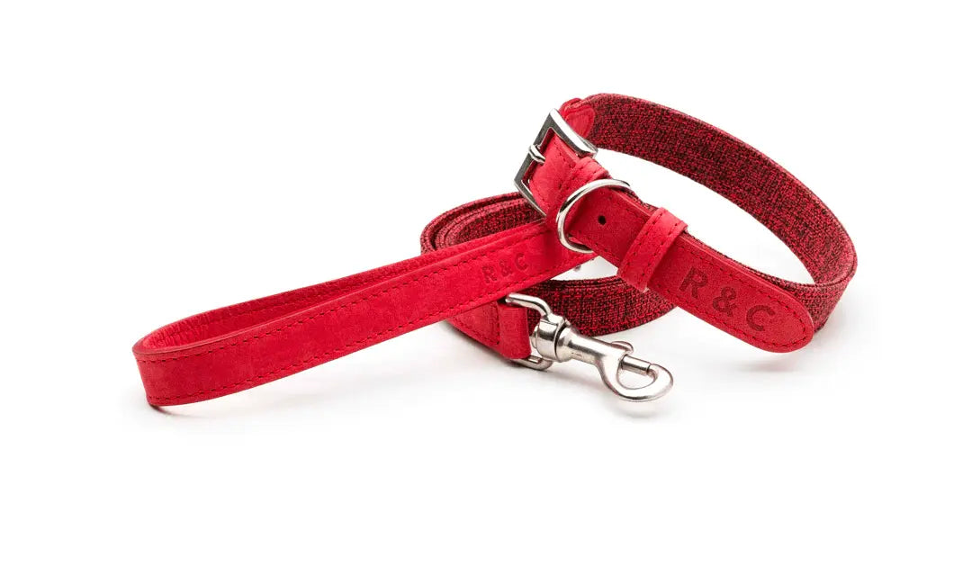 “Etna” Fabric & Leather Dog Lead – by Ralph & Co - Memoriex