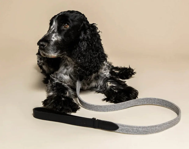 “Eton” Fabric & Leather Dog Lead – by Ralph & Co - Memoriex 