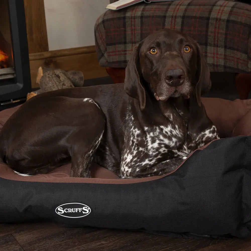 Expedition Box Dog Bed (in Chocolate Brown, Graphite Grey & Plum) by Scruffs - Memoriex