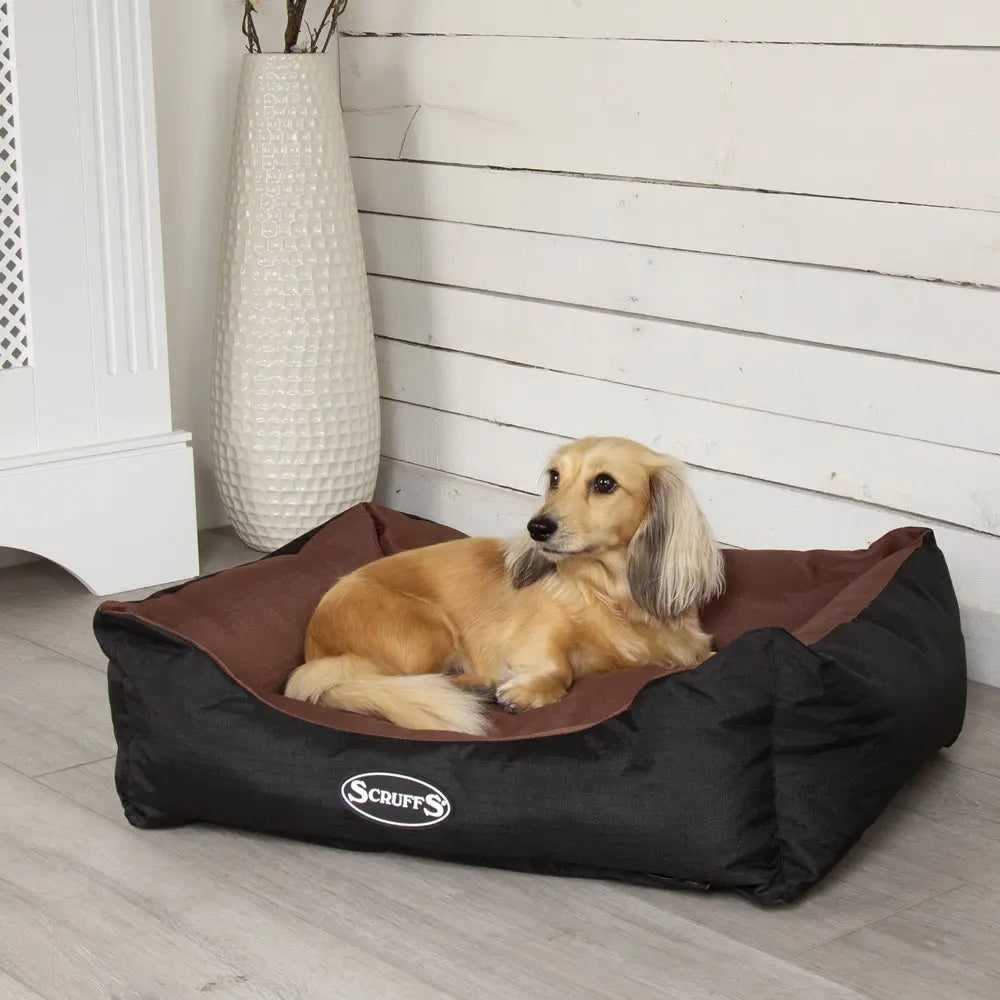 Expedition Box Dog Bed (in Chocolate Brown, Graphite Grey & Plum) by Scruffs - Memoriex