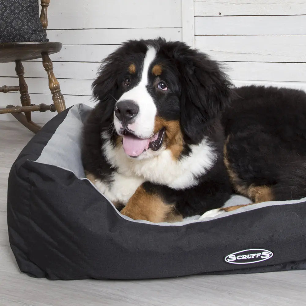 Expedition Box Dog Bed (in Chocolate Brown, Graphite Grey & Plum) by Scruffs - Memoriex