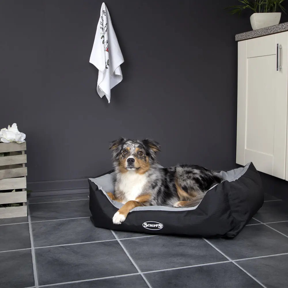 Expedition Box Dog Bed (in Chocolate Brown, Graphite Grey & Plum) by Scruffs - Memoriex