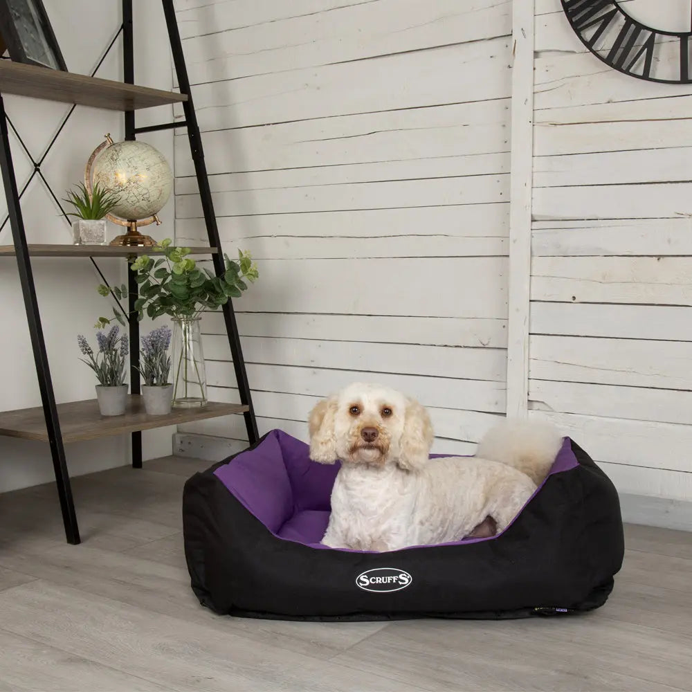 Expedition Box Dog Bed (in Chocolate Brown, Graphite Grey & Plum) by Scruffs - Memoriex