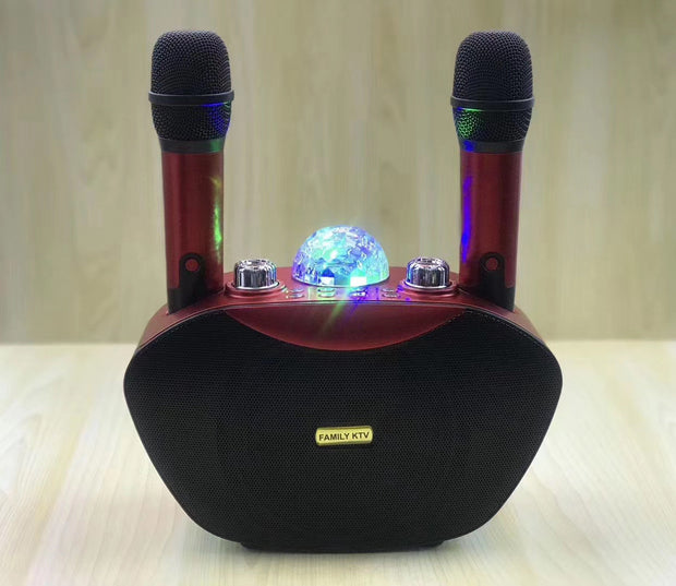 Family Ktv Microphone - Memoriex 