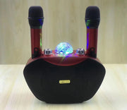 Family Ktv Microphone - Memoriex 