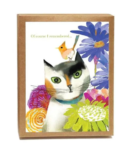 Feline Felicitations - Set of 8 Cards-0