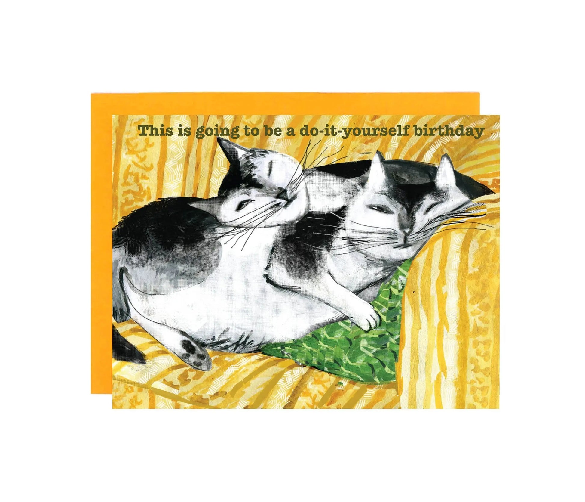 Feline Felicitations - Set of 8 Cards-1