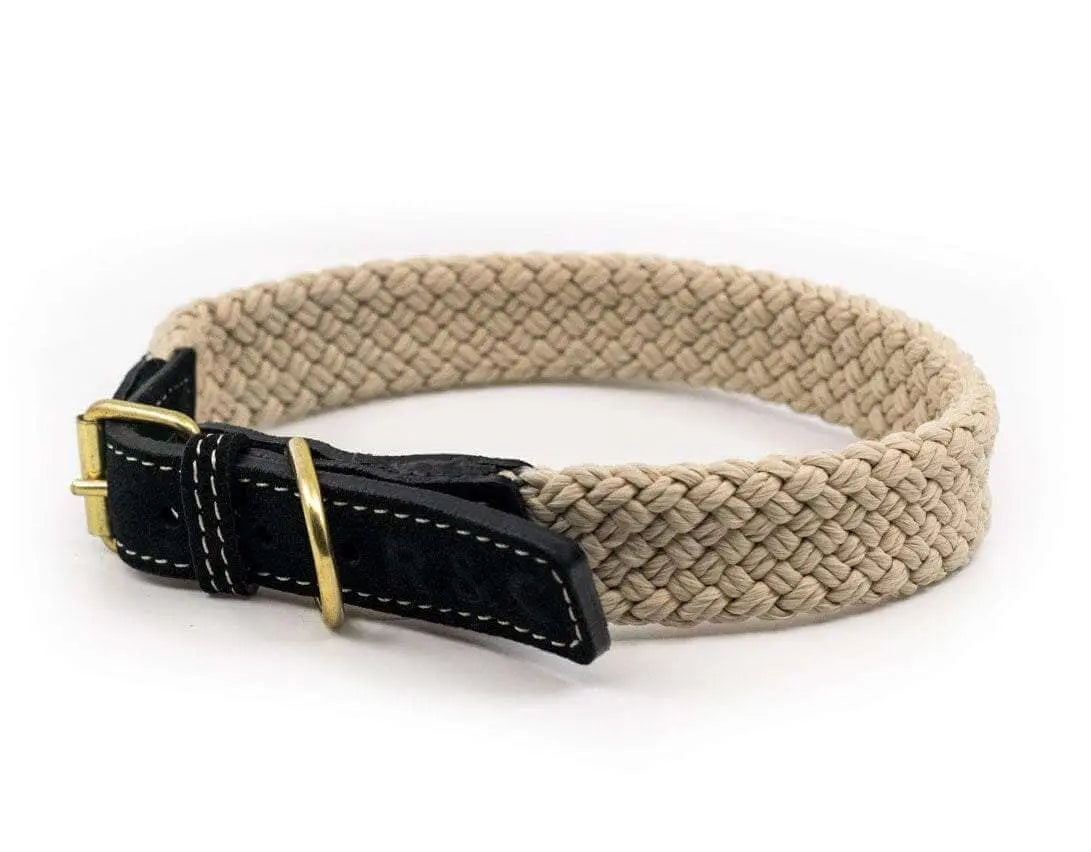 Flat Rope Dog Collar (Black) – by Ralph & Co - Memoriex