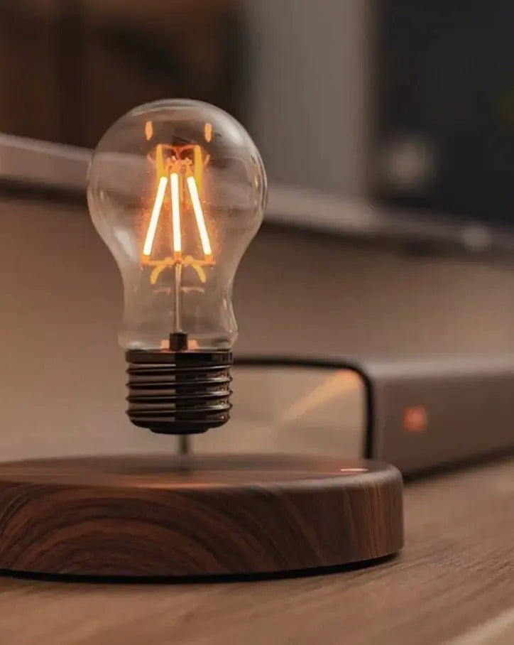 Floating Bulb Lamp-2