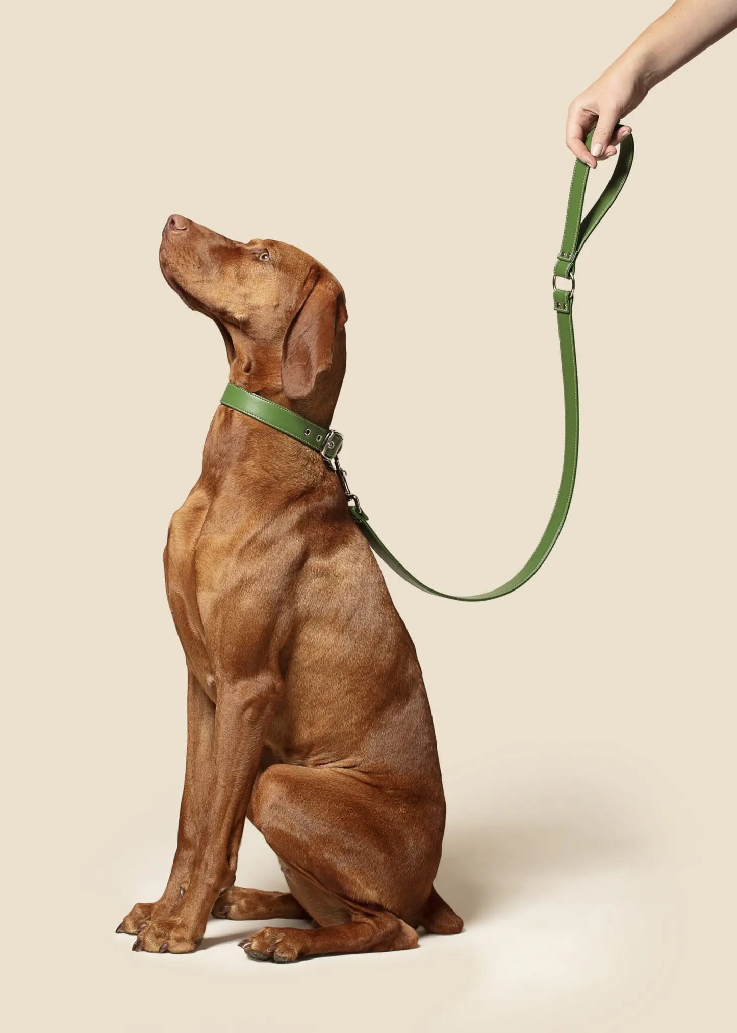 Forest Green Dog Lead (Vegan Apple Leather) – by Skylos Collective - Memoriex