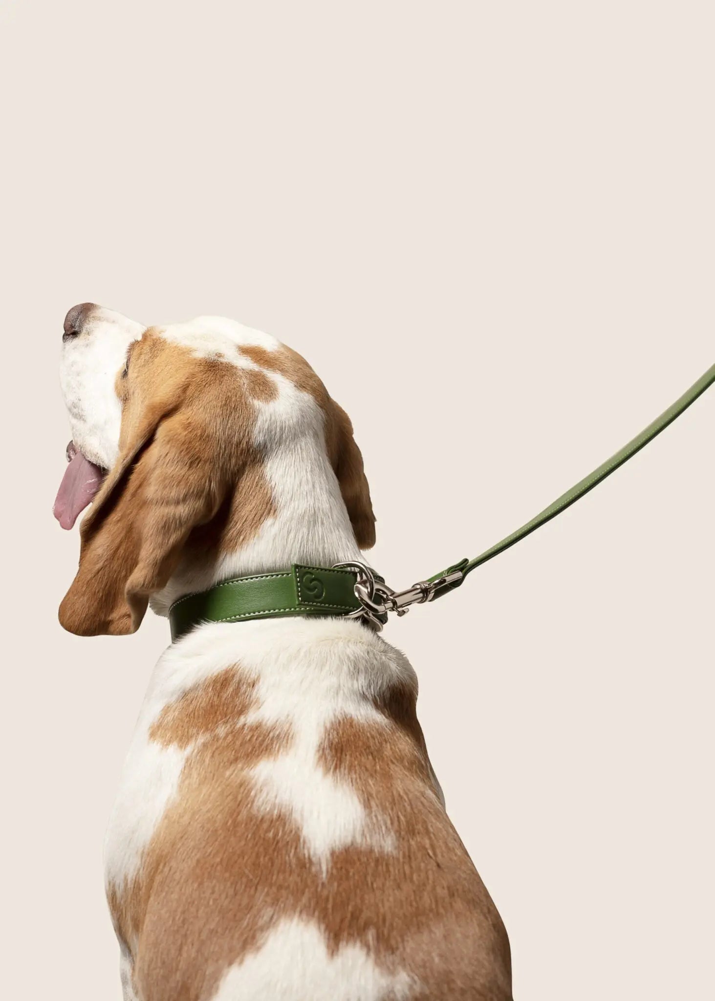 Forest Green Dog Lead (Vegan Apple Leather) – by Skylos Collective - Memoriex