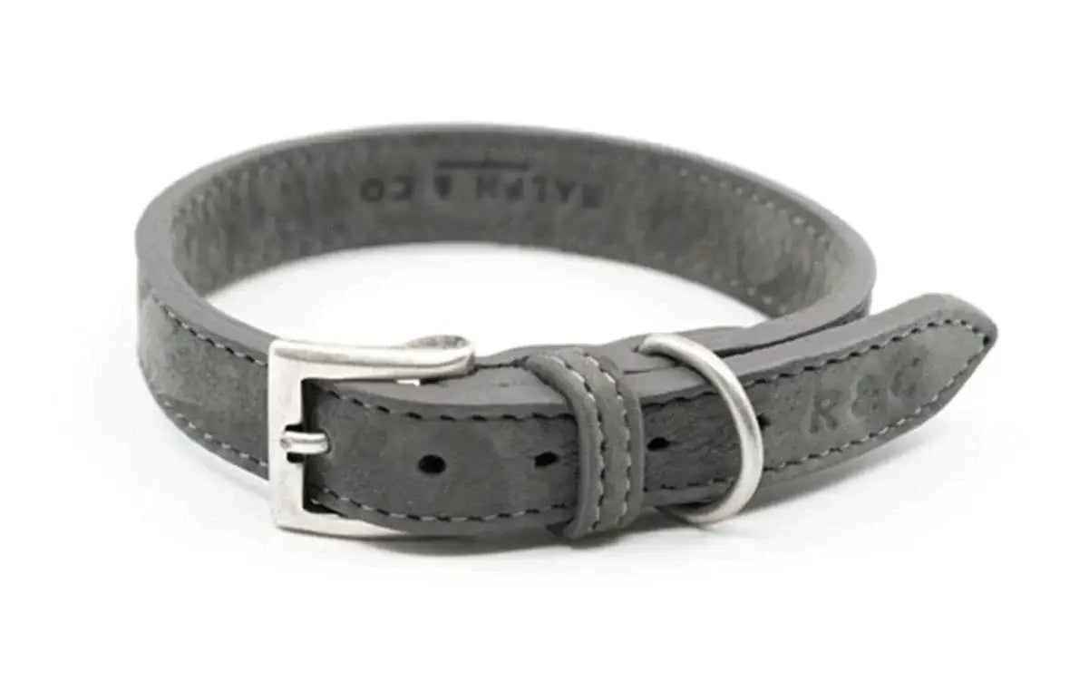 “Garda” Nubuck Leather Dog Collar – by Ralph & Co - Memoriex