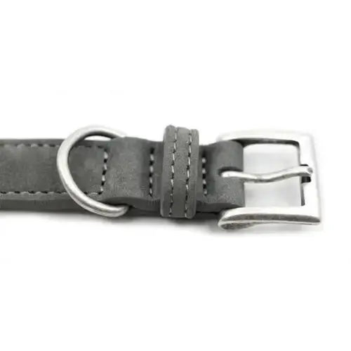 “Garda” Nubuck Leather Dog Collar – by Ralph & Co - Memoriex