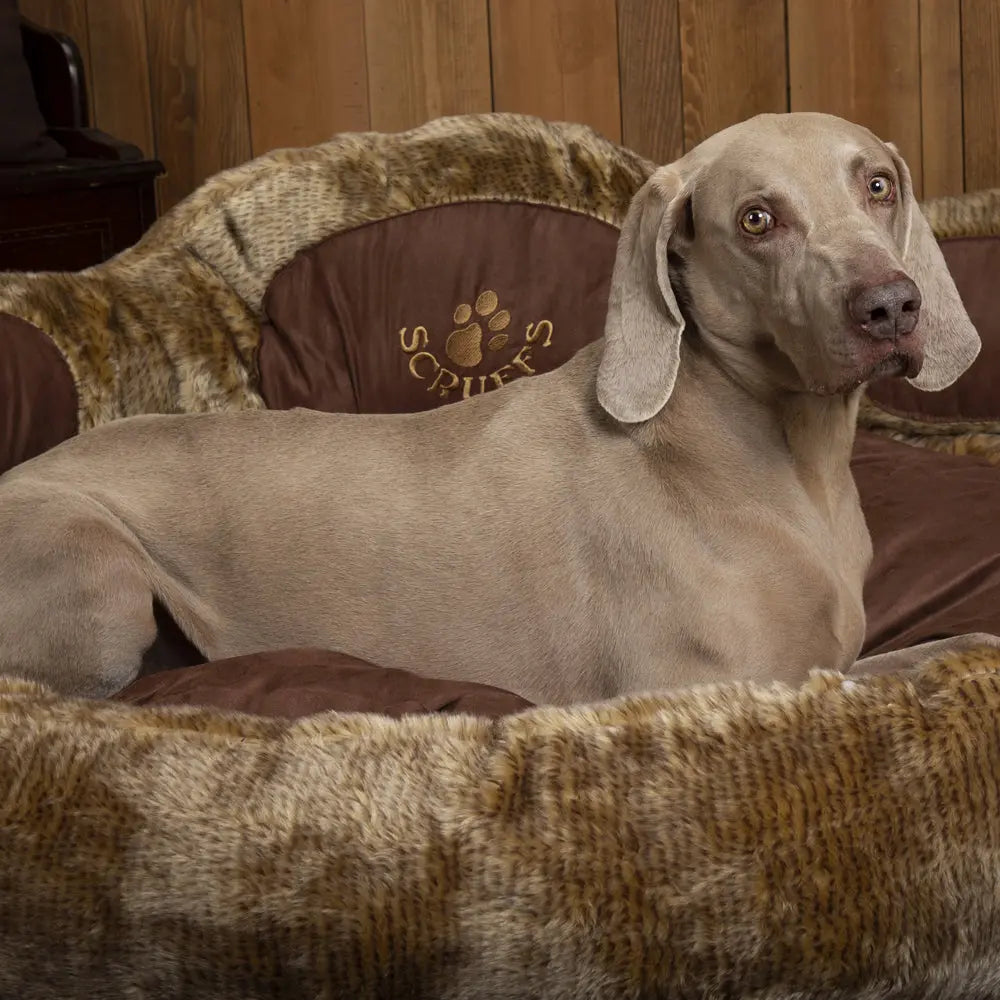 Grizzly Bear Dog Bed (in Beige, Brown) by Scruffs - Memoriex