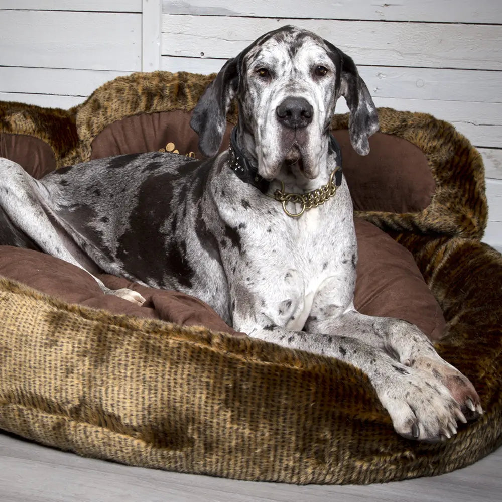 Grizzly Bear Dog Bed (in Beige, Brown) by Scruffs - Memoriex