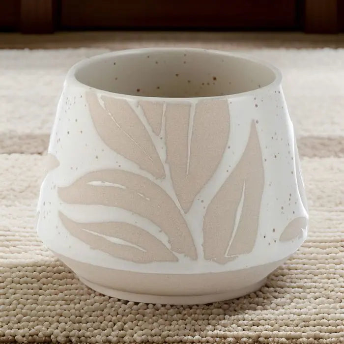 Hesperantha Detail Plant Pot-2