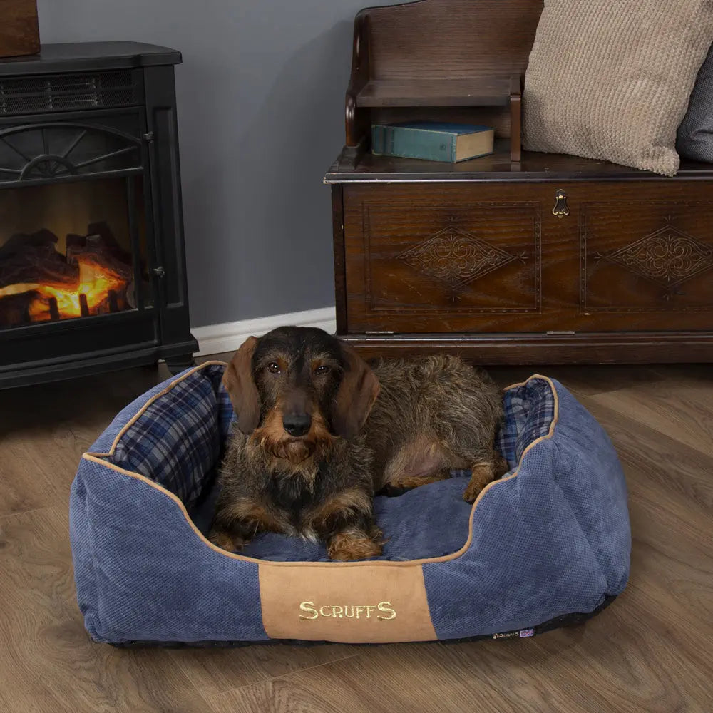 Highland Box Dog Bed (in Blue or Red) by Scruffs - Memoriex