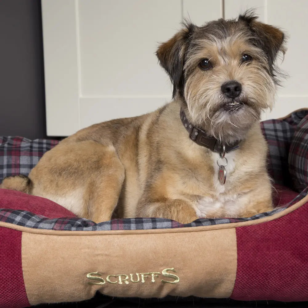 Highland Box Dog Bed (in Blue or Red) by Scruffs - Memoriex