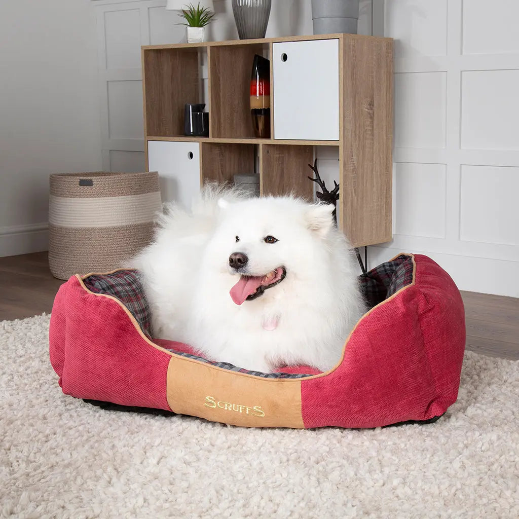 Highland Box Dog Bed (in Blue or Red) by Scruffs - Memoriex