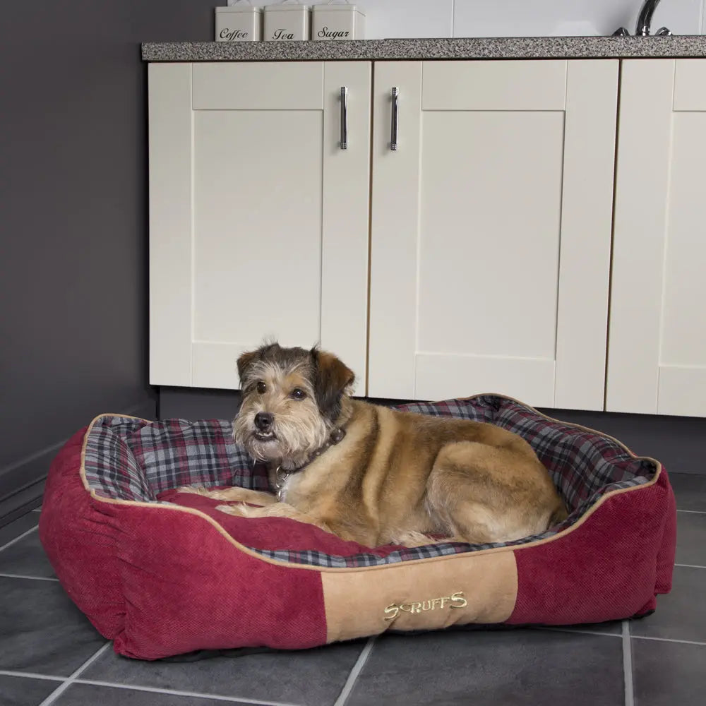 Highland Box Dog Bed (in Blue or Red) by Scruffs - Memoriex