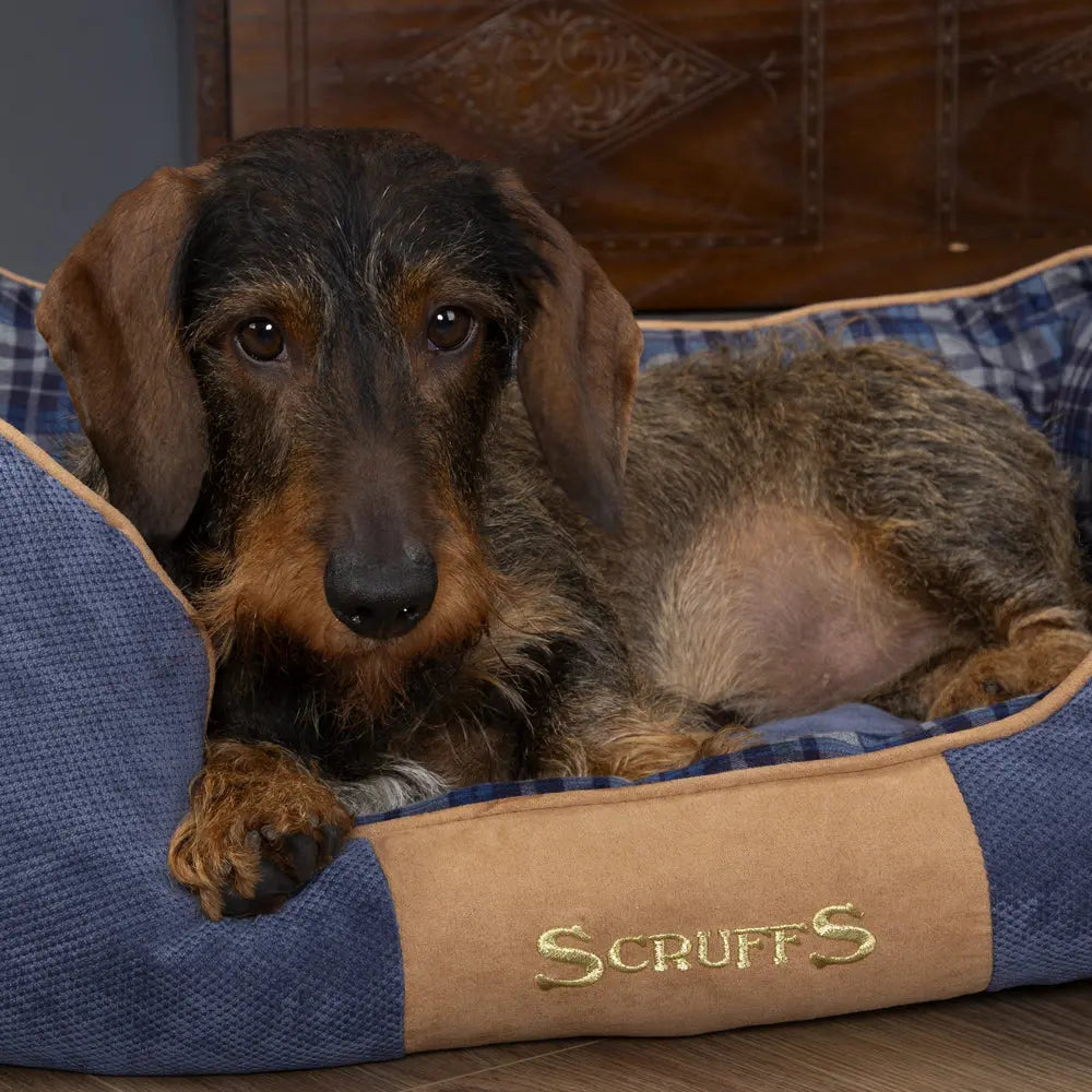 Highland Box Dog Bed (in Blue or Red) by Scruffs - Memoriex