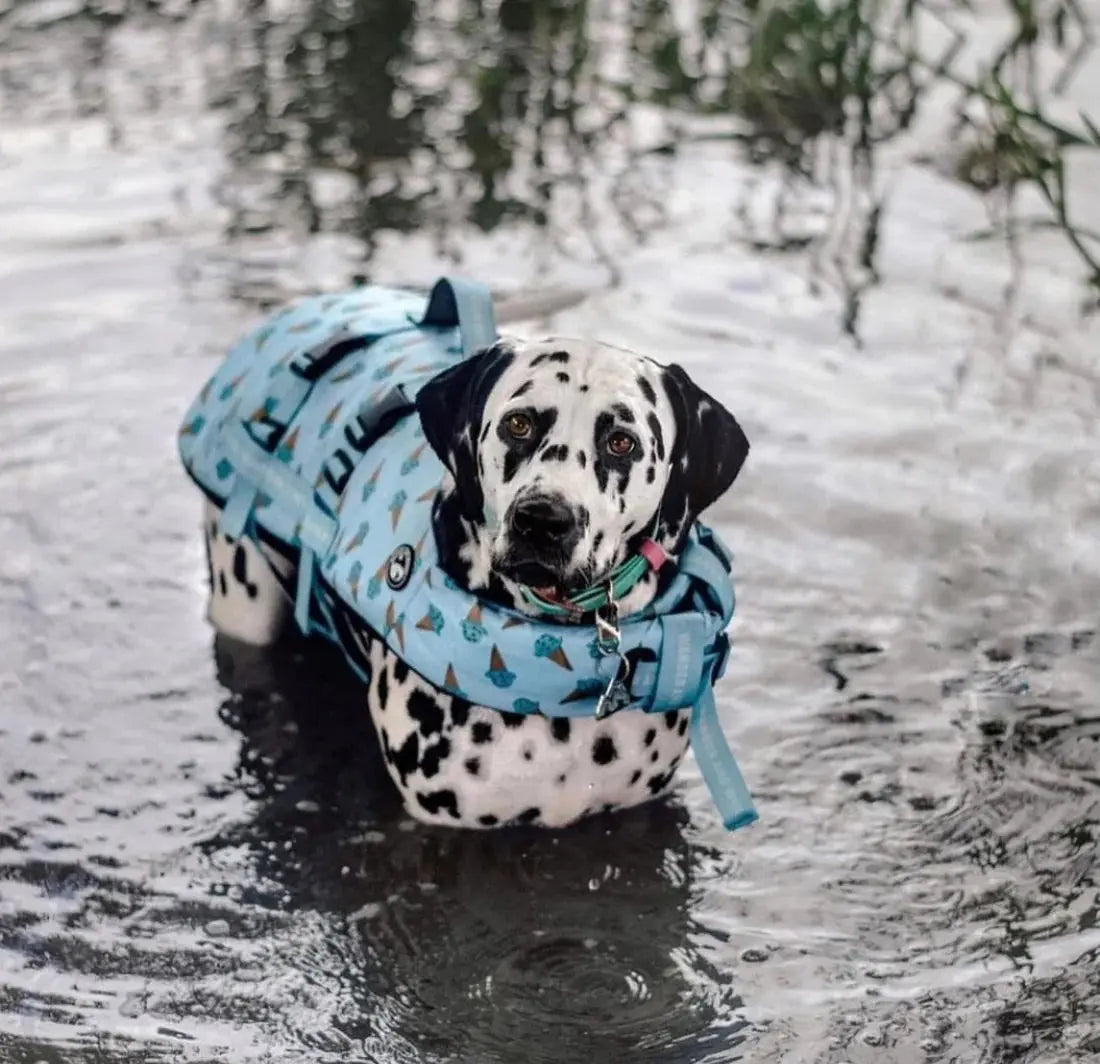 Iced Adventure Dog Float by Wander and Woof - Memoriex