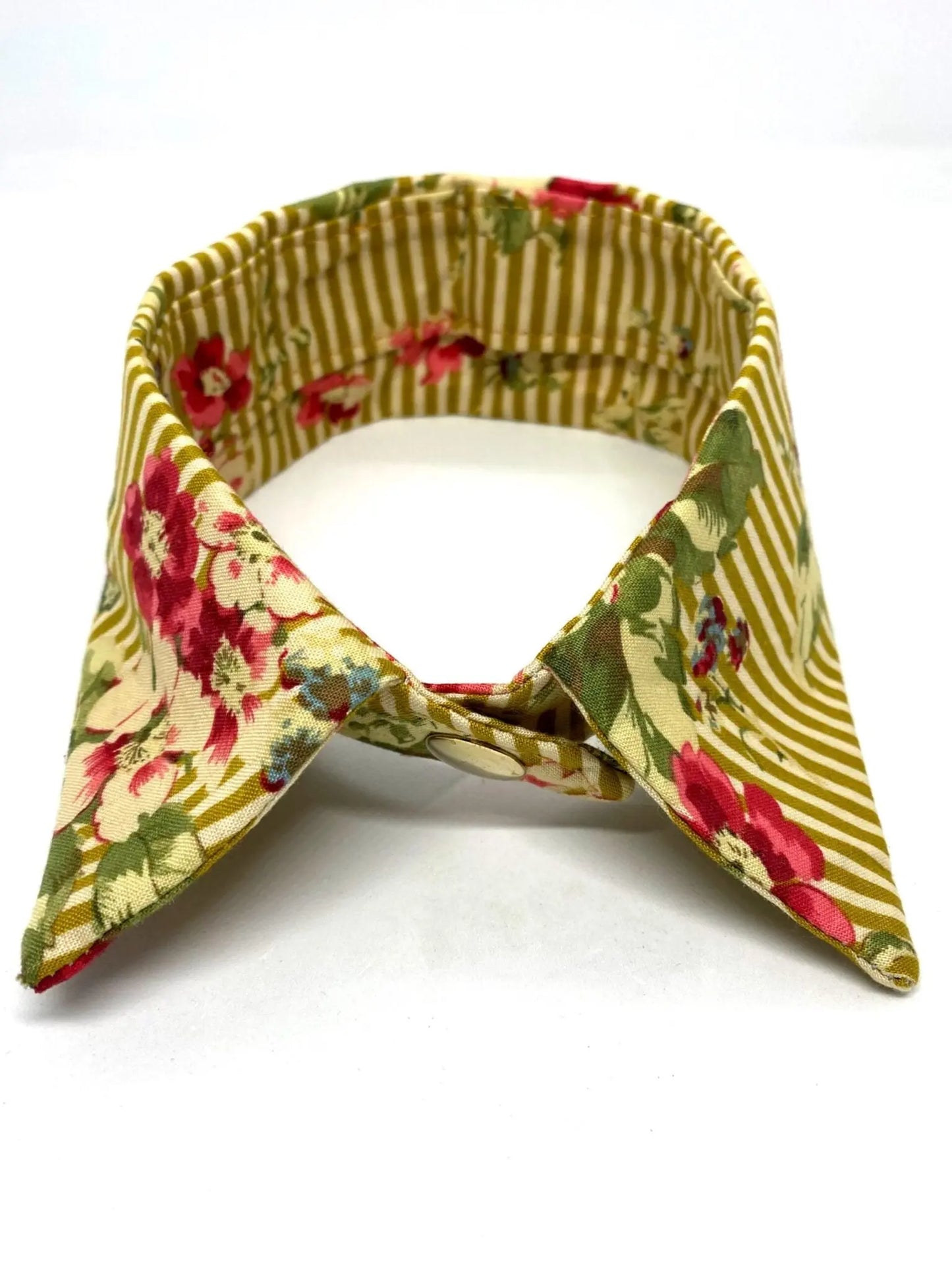 Indie Shirt Dog Collar by Red & Ginger - Memoriex