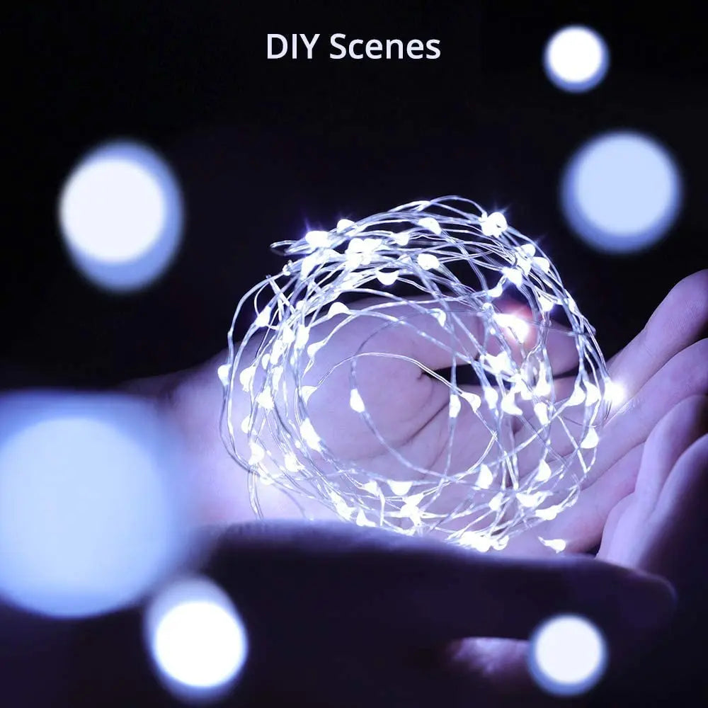 Indoor Fairy Lights, Battery Operated with Remote, Christmas, Party-2