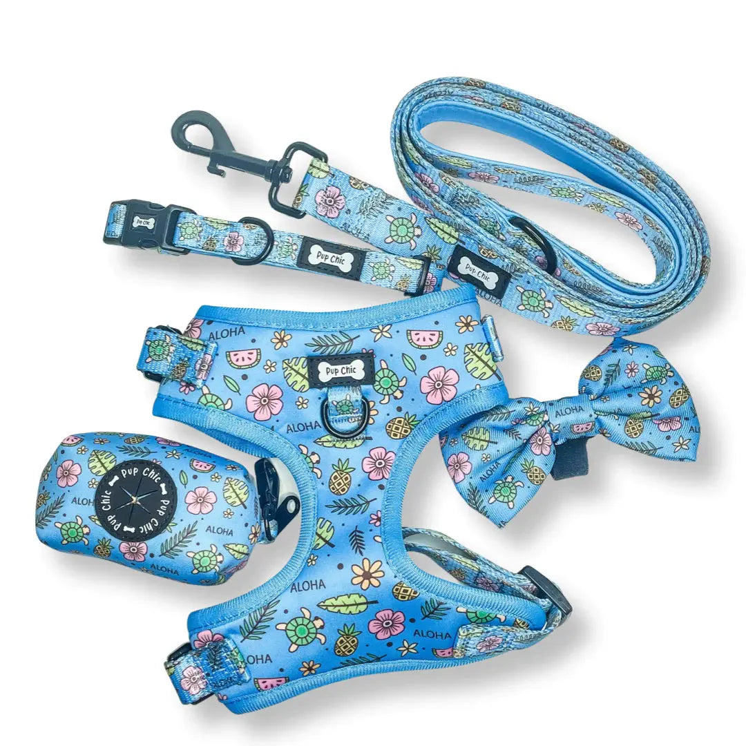 Island Breeze Dog Lead by Pup Chic Boutique - Memoriex