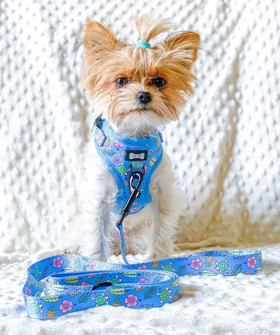 Island Breeze Step-In Adjustable Dog Harness by Pup Chic Boutique - Memoriex