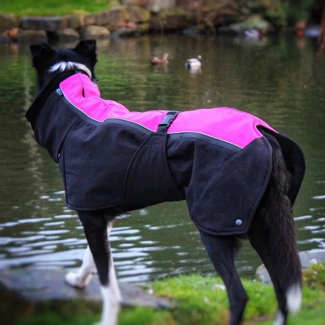 Jaegr Supreme Dog Coat - Highlighter Range - by Jaegr Dogwear - Memoriex