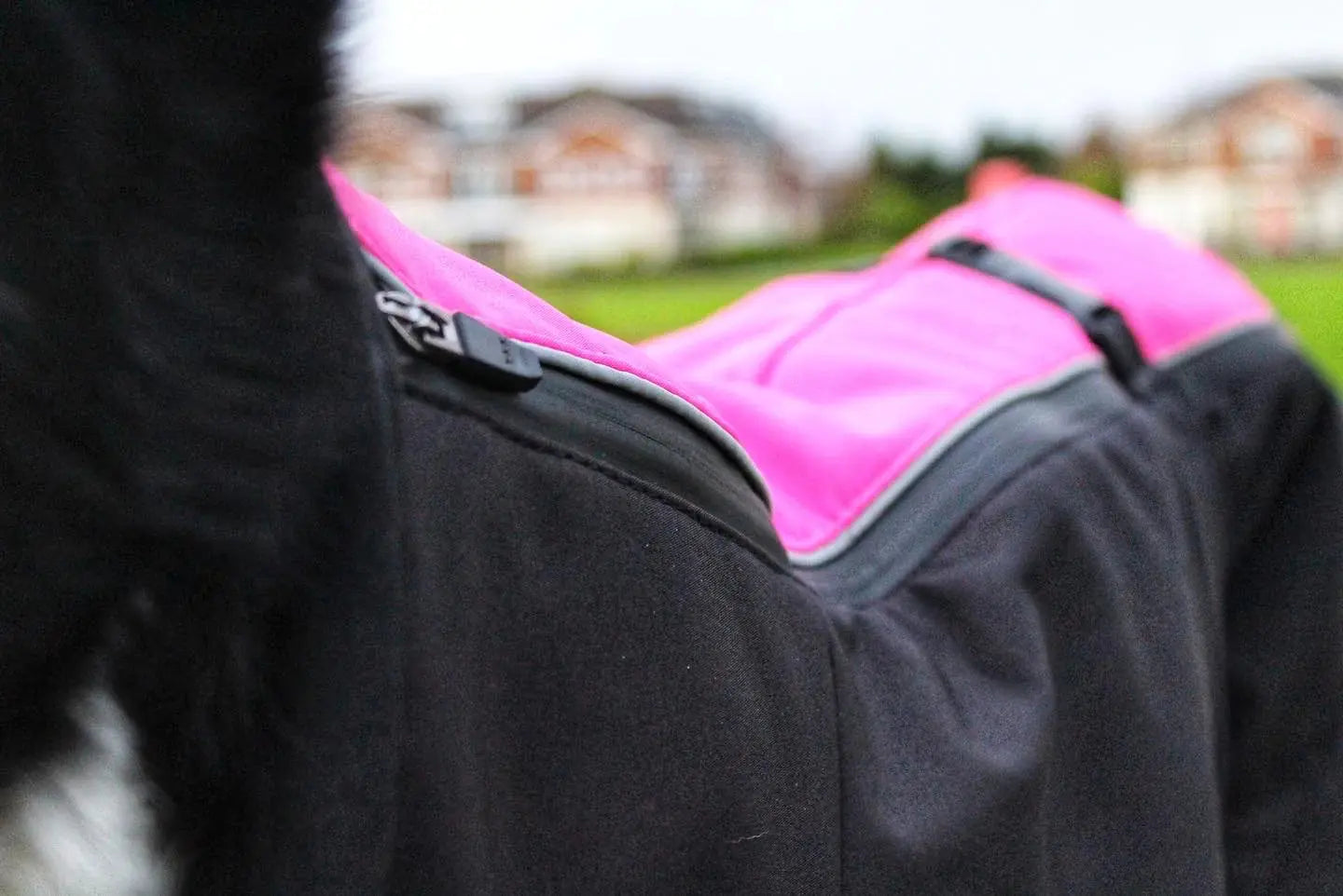 Jaegr Supreme Dog Coat - Highlighter Range - by Jaegr Dogwear - Memoriex