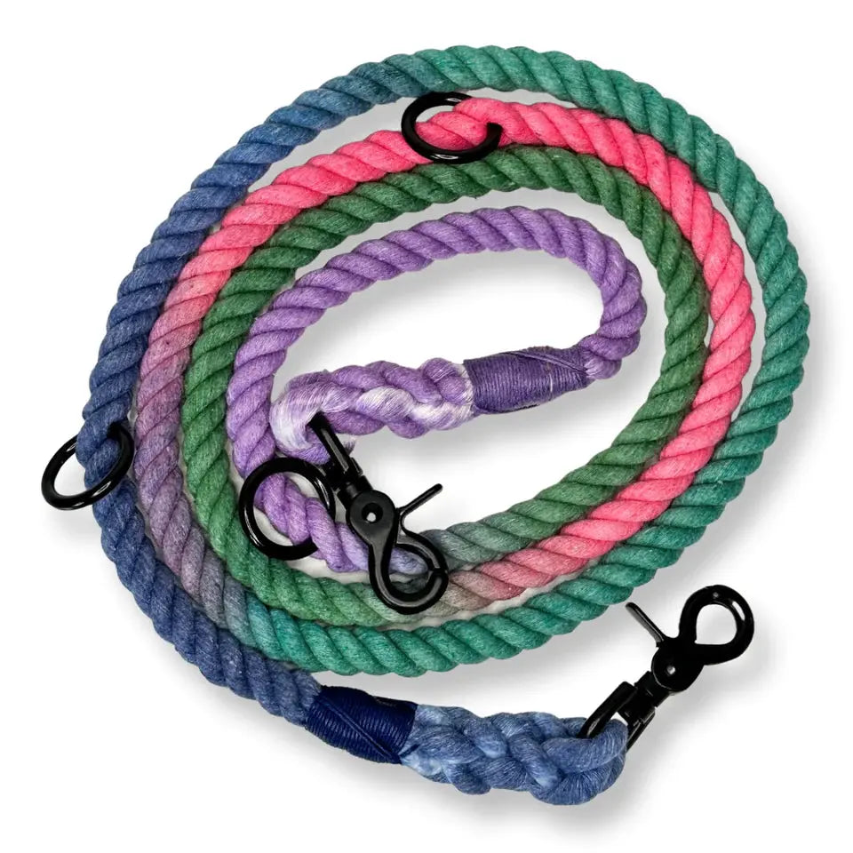 Jewel Be Alright Ombre Adjustable Dog Rope Lead by Pup Chic Boutique - Memoriex