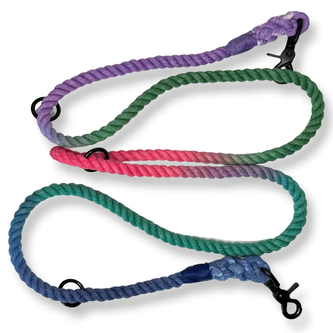 Jewel Be Alright Ombre Adjustable Dog Rope Lead by Pup Chic Boutique - Memoriex